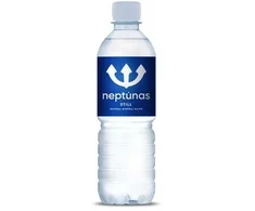 Mineralinis vanduo Neptūnas, negazuotas, 0.5l (D)