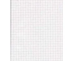 Rašomasis popierius College, A4, 60g, 5x5 langeliais, su perforacija, 100 lapų
