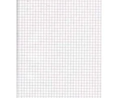 Rašomasis popierius College, A4, 60g, 5x5 langeliais, su perforacija, 100 lapų