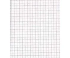 Rašomasis popierius College, A4, 60g, 5x5 langeliais, 100 lapų