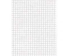 Rašomasis popierius College, A4, 60g, 7x7 langeliais, su perforacija, 100 lapų