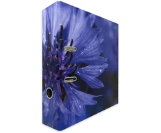 Segtuvas College A4 7cm, violetinės gėlės