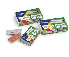 Sąsagėlės Forpus, 24/6 (1000) 1103-002