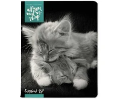 Sąsiuvinis Bruno Visconti A5, Kittens Mur, 5x5 langeliais, 48 lapų