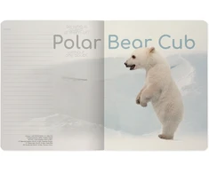 Sąsiuvinis Bruno Visconti A5, Polar Bear Cub, 5x5 langeliais, 48 lapų