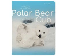 Sąsiuvinis Bruno Visconti A5, Polar Bear Cub, 5x5 langeliais, 48 lapų