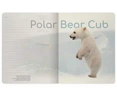 Sąsiuvinis Bruno Visconti A5, Polar Bear Cub, 5x5 langeliais, 48 lapų