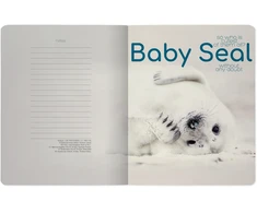 Sąsiuvinis Bruno Visconti A5,Baby Seal, 5x5 langeliais, 48 lapų