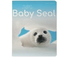 Sąsiuvinis Bruno Visconti A5,Baby Seal, 5x5 langeliais, 48 lapų