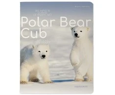 Sąsiuvinis Bruno Visconti Polar Bear Cub 3, A5, langeliais, 48 lapų
