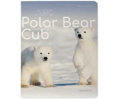 Sąsiuvinis Bruno Visconti Polar Bear Cub 3, A5, langeliais, 48 lapų