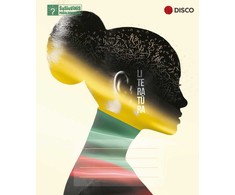 DISCO Sąsiuvinis pagalbininkas, Literatūrai, 32 lapų, linijomis