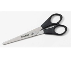 Žirklės Dahle Home, 16cm/6 colių buitinės
