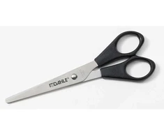 Žirklės Dahle Home, 16cm/6 colių buitinės