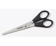 Žirklės Dahle Home, 16cm/6 colių buitinės