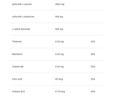 4+ Nutrition BCAA Extreme Instant 8:1:1+ 300g