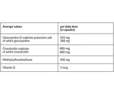 4+ Nutrition Joint+ 90 kaps.