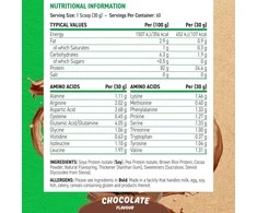 Applied Nutrition Plant Protein 1800 g augaliniai baltymai