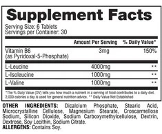 Gaspari Nutrition Glutamine 300g