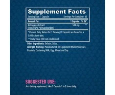 Haya Labs Astragalus 500 mg 60 kaps.