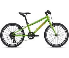 Vaikiškas dviratis Giant ARX 20 metalinis žalias