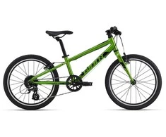 Vaikiškas dviratis Giant ARX 20 | Metallic Green
