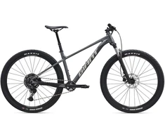 Kalnų dviratis Giant Talon 29 1 Charcoal (C)