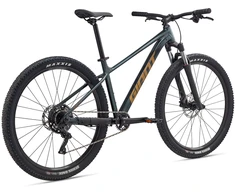 Kalnų dviratis Giant Talon 29 2 Asphalt Žalias