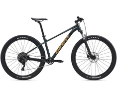None Dviratis GIANT Talon 2, 29" asfalta zaļš ,L,