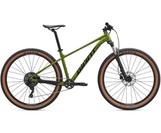 Kalnų dviratis Giant Talon 29 2 Dried Matcha
