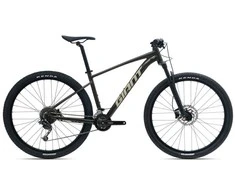 Kalnų dviratis Giant Talon 2 (GE), 29" | spalva: Phantom Green (X) | dydis: S