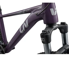 Kalnų dviratis Liv Tempt 27.5 3 Tyrian Violetinė