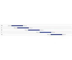 Krosinis dviratis Giant Roam 1 Disc Metallic Navy (2025), L