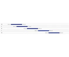 Krosinis dviratis Giant Roam 1 Disc Metallic Navy (2025), S