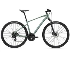 Krosinis dviratis Giant Roam 4 Disc Misty Forest, M