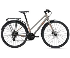 Miesto dviratis Liv Alight 2 City Disc, M dydžio, pilkas