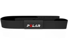 POLAR EQUINE diržas žirgui