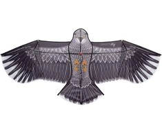 Dragon Aitvaras 51WL Kite Eagle