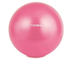 Gimnast. kamuolys 55cm TOORX AHF-069 su pompa