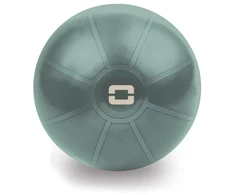 Gimnast. kamuolys 55cm TOORX Liveness AYP-001 su pompa
