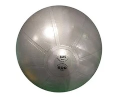Gimnast. kamuolys 65cm TOORX PRO AHF-148