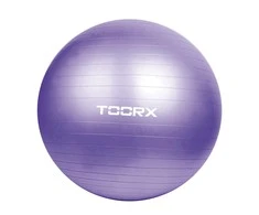 Gimnast. kamuolys 75cm TOORX AHF-013 +pompa