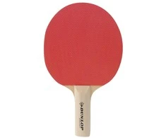 Dunlop Stalo teniso raketė BT10 pradedantiesiems