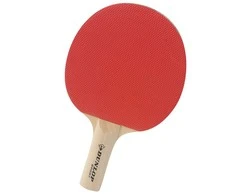Dunlop Stalo teniso raketė BT20 pradedantiesiems