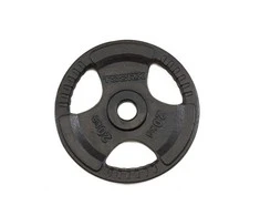 Svoriai štangai TOORX DGN-TG20 D50mm 20kg