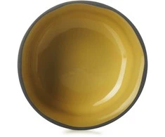 Revol Dubuo