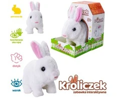Askato Bunny Jumping Kica Voices (378492)