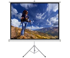 ART ER T72 4:3 ART rankinis Ekranas su stovu 4:3 72 145x110cm TS-72 4:3