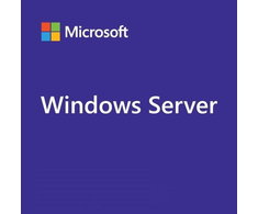 Microsoft WINSVR RDSCAL 2025 1 USER - CONFIG ONLY