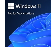 Microsoft „Oem win Pro“, skirtas wrkstns 11 pl x64 hzv-00117